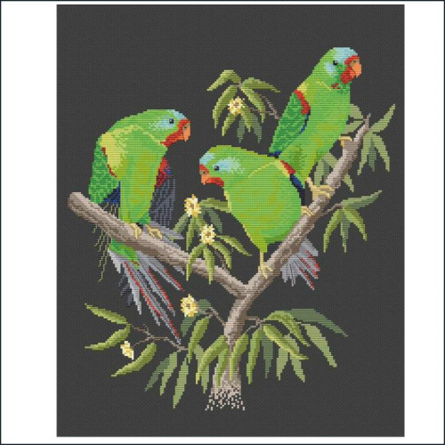 Swift Parrots counted cross stitch chart or kit by Maureen Maguire